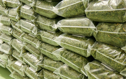 Maximizing Cannabis Storage: The Key to Preserving Quality and Boosting Harvest Success