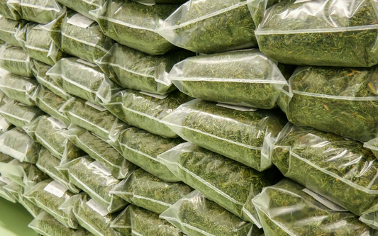 Maximizing Cannabis Storage: Preserving Quality