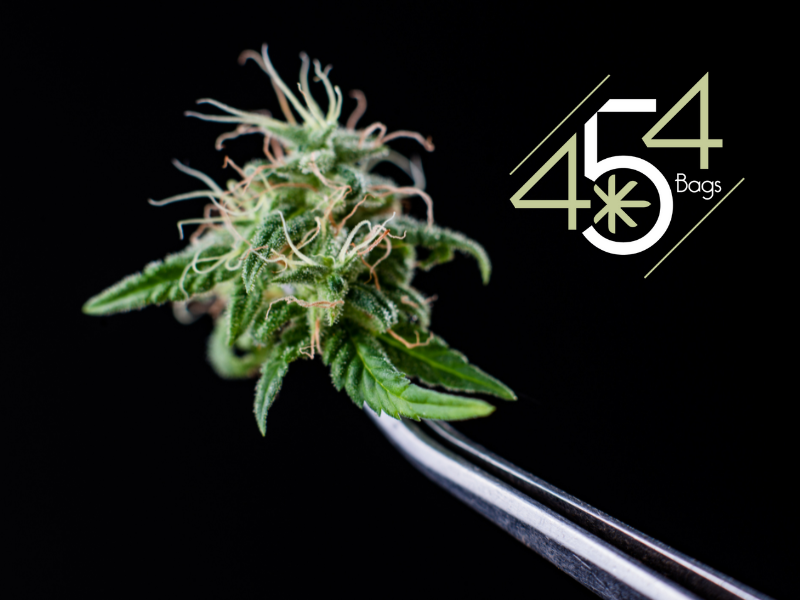 Close-up of a mature cannabis bud held by tweezers against a black background, showcasing the dense trichomes and vibrant pistils, with the 454 Bags logo indicating premium cannabis care.