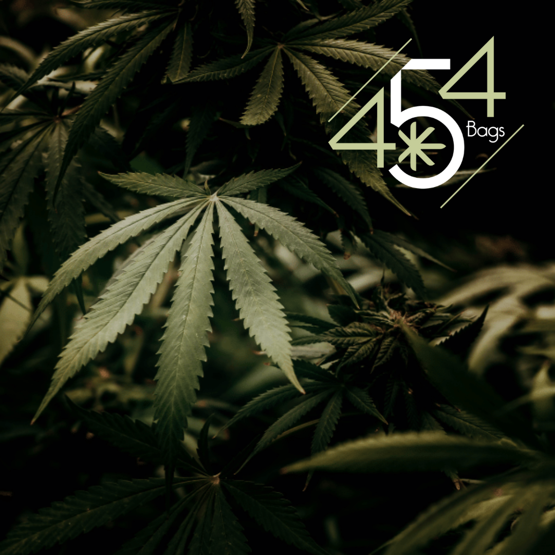 Dark, moody close-up of mature cannabis leaves layered in shadow, with the 454 Bags logo prominently displayed in the upper right corner.