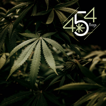 Dark, moody close-up of mature cannabis leaves layered in shadow, with the 454 Bags logo prominently displayed in the upper right corner.