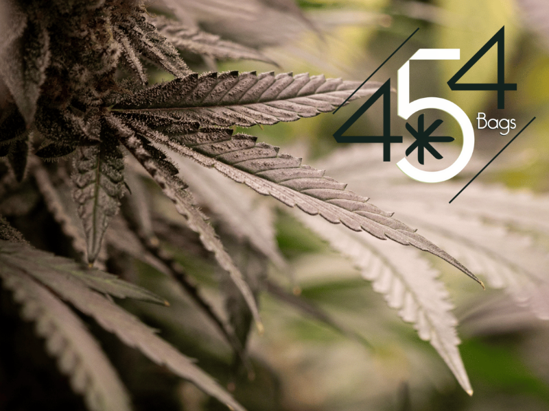 Close-up of cannabis leaves with the 454 Bags logo superimposed, highlighting the brand's focus on cannabis storage solutions.