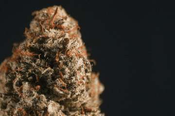 Close-up of dried cannabis flower showing structure and trichome coverage.