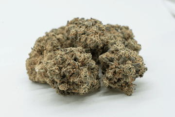 Compression Damage in Cannabis Transport: Why Pounds Lose Shape, Color, and Value