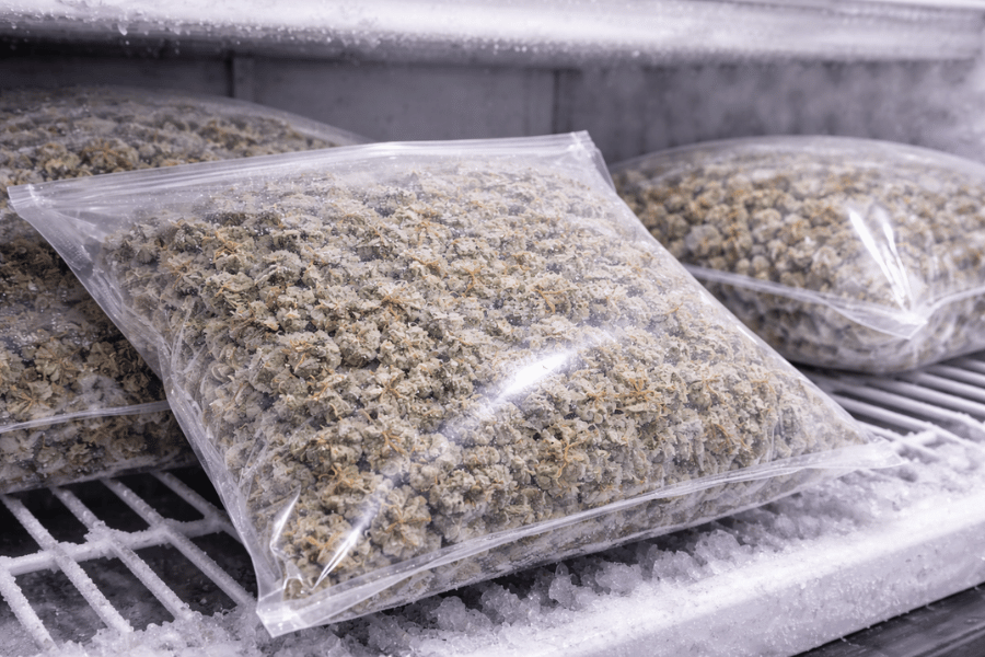 Cannabis storage bags inflating due to internal gas buildup during storage