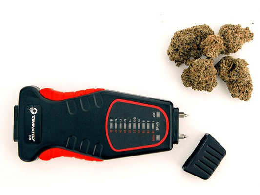 A digital moisture meter with a sleek black and red design placed next to cannabis buds and a detachable cap, highlighting its use in cannabis cultivation.