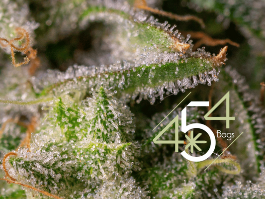 How to Prevent Mold & Moisture Issues in Bulk Cannabis Storage