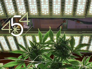 Image showing healthy cannabis plants under LED lights with the 454 Bags logo prominently displayed, highlighting the brand's focus on quality cannabis cultivation and storage solutions.