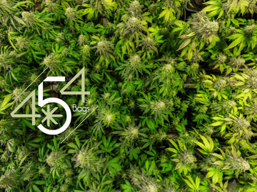 Overhead view of a dense canopy of mature cannabis plants ready for harvest, with the 454 Bags logo displayed prominently in the lower left corner.