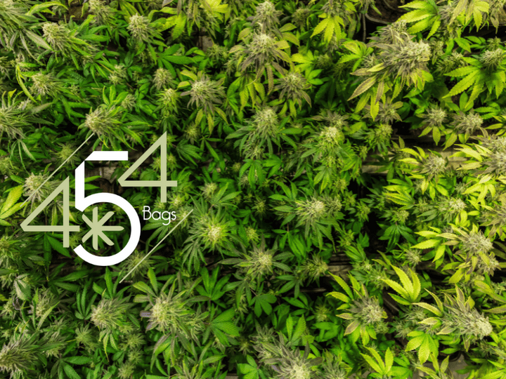 Overhead view of a dense canopy of mature cannabis plants ready for harvest, with the 454 Bags logo displayed prominently in the lower left corner.