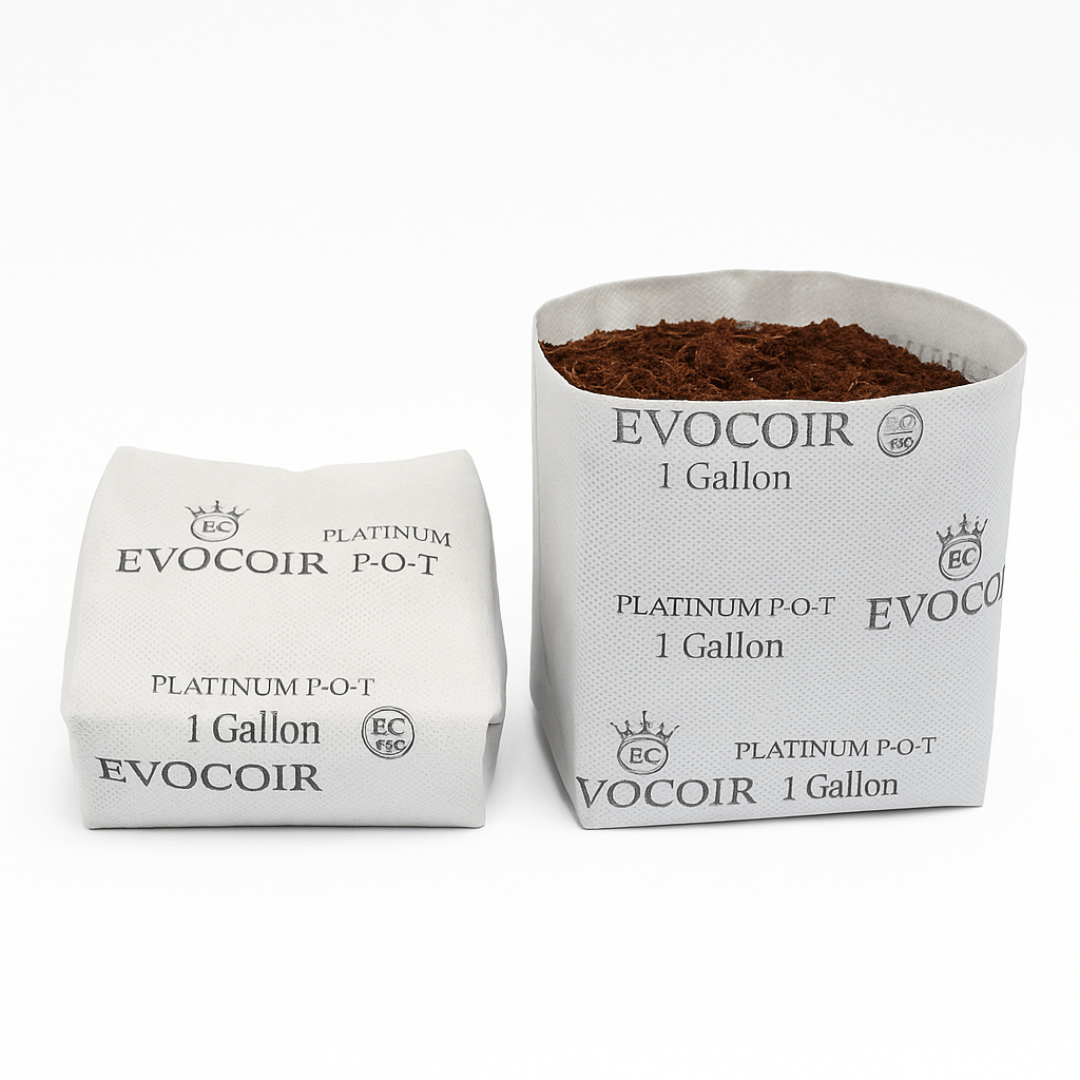 Evocoir Platinum P-O-T one-gallon coco grow bag shown compressed and expanded
