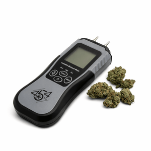 Digital weed moisture meter placed next to cannabis buds for testing moisture levels after harvest